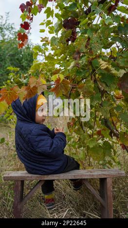 A lonely little boy on a bench in a garden waiting Stock Photo