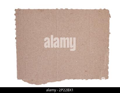 Corrugated kraft cardboard. A piece of torn cardboard isolated on a white background Stock Photo