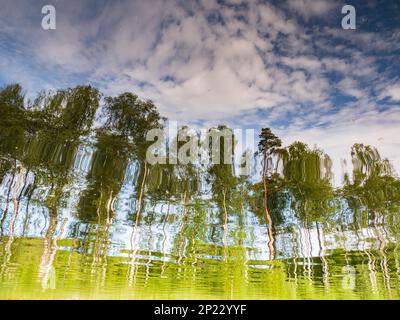 Texture, pattern. Swedish forest reflected in the surface of the northern lake. Sweden, North Europa Stock Photo