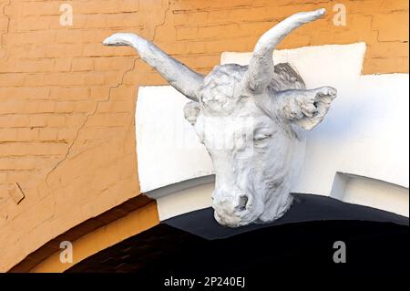 Bull head of the facade of an old building in Kyiv Ukraine Stock Photo