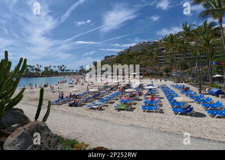 people sunbathing on the beach at Playa Anfi del Mar,Gran Canaria,Canary Islands,Spain,Europe Stock Photo