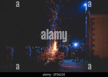 Orthodox Christmas celebration in Montenegro and Serbia, process of burning the Badnjak, fire with oak tree logs and branch during Badnji dan, the Chr Stock Photo