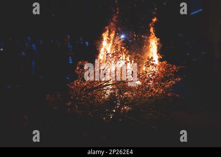 Orthodox Christmas celebration in Montenegro and Serbia, process of burning the Badnjak, fire with oak tree logs and branch during Badnji dan, the Chr Stock Photo