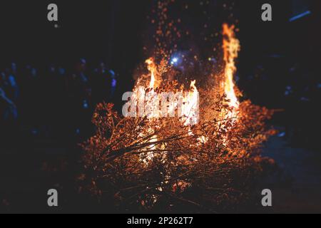 Orthodox Christmas celebration in Montenegro and Serbia, process of burning the Badnjak, fire with oak tree logs and branch during Badnji dan, the Chr Stock Photo