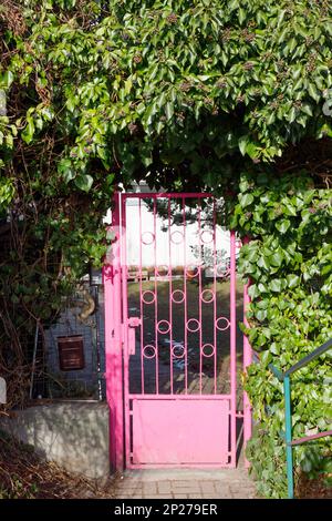 a pink gate surrounded with plants Stock Photo
