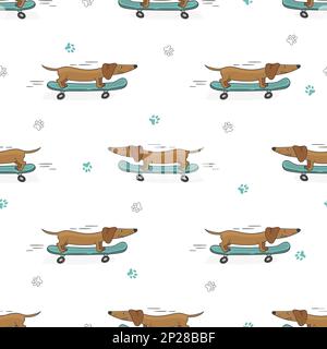 Seamless pattern with cute dachshund on skateboard. Vector background. Stock Vector