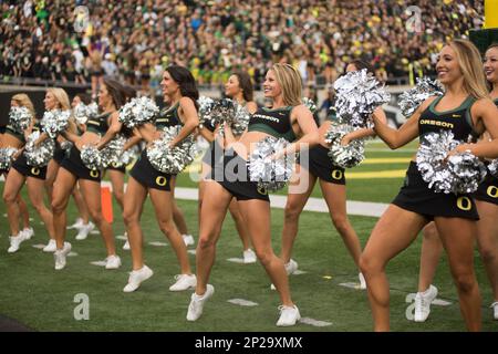 EUGENE, OR - OCTOBER 05: An Oregon Ducks cheerleader watches a video replay  during a college football game between the Cal Bears and Oregon Ducks at  Autzen Stadium in Eugene, Oregon. (Photo