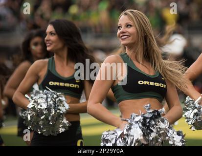 EUGENE, OR - OCTOBER 05: An Oregon Ducks cheerleader watches a video replay  during a college football game between the Cal Bears and Oregon Ducks at  Autzen Stadium in Eugene, Oregon. (Photo