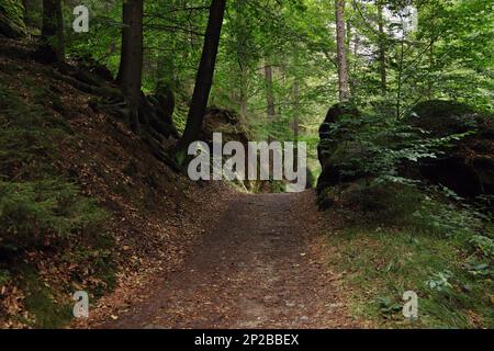 Hiking trail Polenz Valley (Polenztal) in Saxon Switzerland, Germany