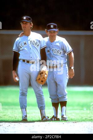 Graig nettles hi-res stock photography and images - Alamy