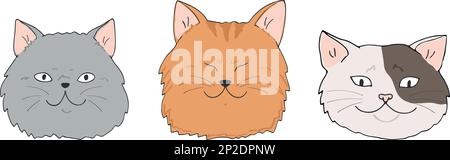 Three different cat faces set. Different cat breeds. Cute hand drawn cat heads isolated on white Stock Vector