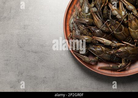 Fresh raw crayfishes on grey table, top view. Space for text Stock Photo