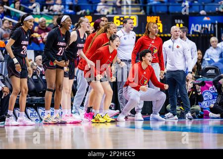 Greensboro, NC, USA. 4th Mar, 2023. Louisville Cardinals bench celebrates during the semifinals of the Women's ACC Tournament against the Notre Dame Fighting Irish at Greensboro Coliseum in Greensboro, NC. (Scott Kinser/Cal Sport Media). Credit: csm/Alamy Live News Stock Photo