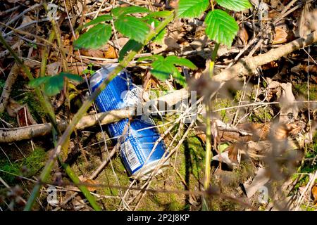 Close up of a metal beer can carelessly discarded as litter in the countryside, slowly being concealed from view by Mother Nature. Stock Photo