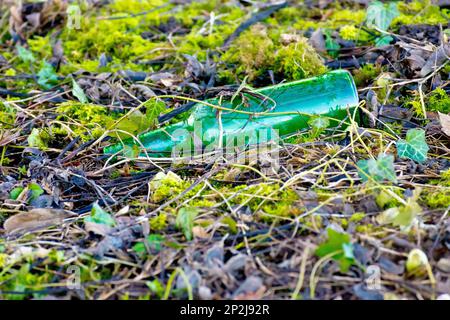 Close up of a green glass beer bottle carelessly discarded as litter in the countryside, slowly being concealed from view by Mother Nature. Stock Photo