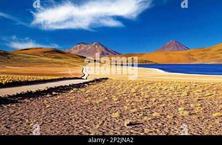 Beautiful spectacular dry colorful arid landscape, deep blue lake in andes high plains, hiking path, volcano Miniques - Laguna Miscanti, Atacama deser Stock Photo