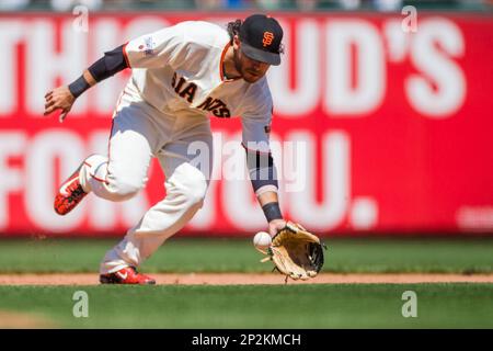 July 29, 2015: San Francisco Giants relief pitcher Javier Lopez (49)  pitching in the 9th inning, during the MLB baseball game between the San  Francisco Giants and the Milwaukee Brewers at AT&T