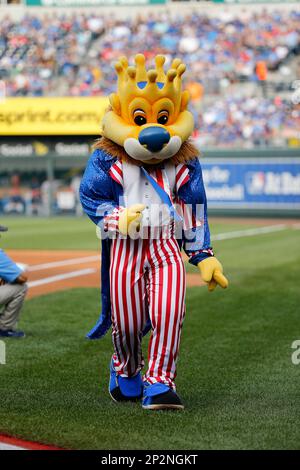 Kansas City Royals mascot Sluggerrr dons his Johnny Cueto wig for Game 2 of  the World Series on Wednesday, Oct. 28, 2015, at Kauffman Stadium in Kansas  City, Mo. (Photo by Joe