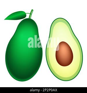 Illustration of fresh avocado fruit, whole and cut in half avocado with pit Stock Vector