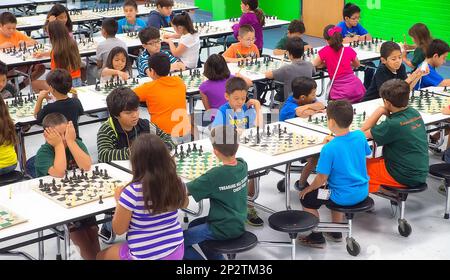 CHESS CAMP 2015 