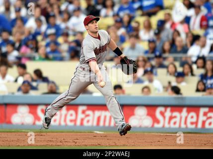 2015 Paul Goldschmidt Arizona Diamondbacks Signed Game Worn Jersey