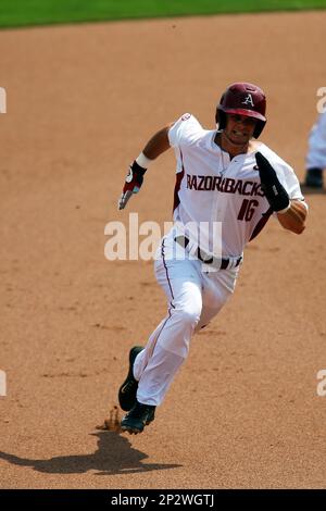 Jun, 2015: Razorback base runner Andrew Benintendi #16 makes his way  between second and third. The Arkansas Razorbacks defeated the Missouri  State Bears 3-2 in the final game of the Super Regionals