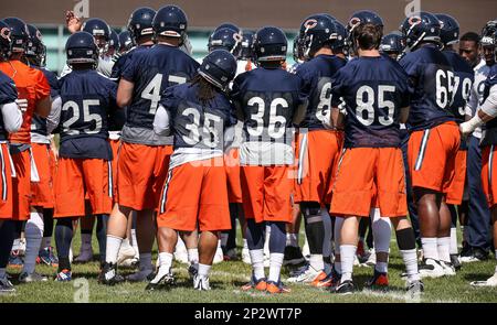 03 JUNE 2015: Chicago Bears wide receiver Alshon Jeffery (17) in action  during the Chicago Bears OTA at Halas Hall in Lake Forest, IL. (Icon  Sportswire via AP Images Stock Photo - Alamy