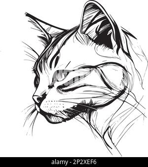 Vector Hand drawn Illustration of a Cat Head Stock Vector