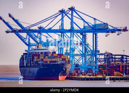 MSC Catherine VI, a Post-Panamax container ship, is docked at APM Terminals, March 3, 2023, in Mobile, Alabama. Stock Photo