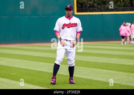 10 May 2015: Cleveland Indians Left field Michael Brantley (23) [5594]  decked out with a pink undershirt and spikes for Mother's Day prior to the  game between the Minnesota Twins and Cleveland