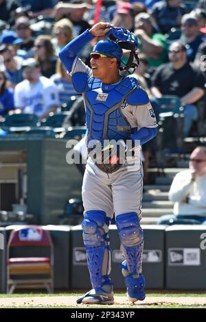 KANSAS CITY, MO - AUGUST 01: Kansas City Royals Catcher Salvador Perez (13)  adjusts his glove during the game between the Kansas City Royals and  Chicago White Sox on Saturday August 1