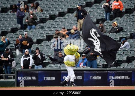 Chicago Today' plays ball with White Sox mascot Southpaw – NBC Chicago