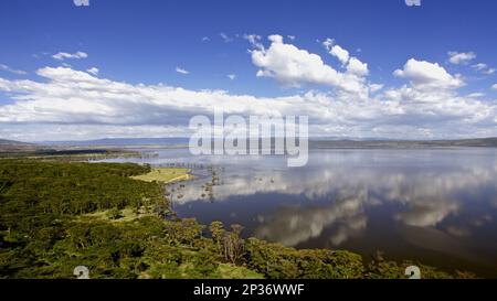 View of soda lake habitat, Lake Nakuru, Lake Nakuru N. P. Great Rift Valley, Kenya Stock Photo