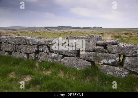 Quarry stone walls, Dry stone wall, Dry stone walls, Drystone wall on moorland, Dartmoor, Devon, England, United Kingdom Stock Photo