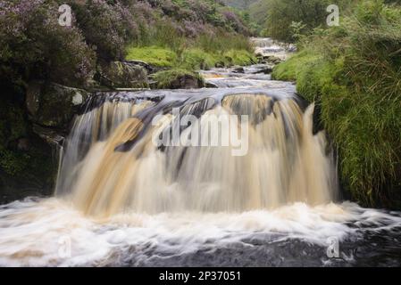 View of cascading stream and waterfall, Fairbrook Naze, Kinder Scout, Dark Peak, Peak District N. P. Derbyshire, England, United Kingdom Stock Photo