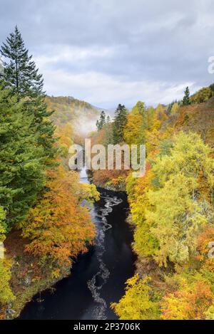 View of river flowing through mixed woodland in autumn colours, Killicrankie Gorge, River Garry, Perth and Kinross, Scotland, United Kingdom Stock Photo