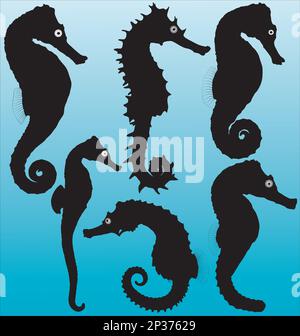 Seahorse vector silhouettes isolated. Layered. Fully editable Stock Vector