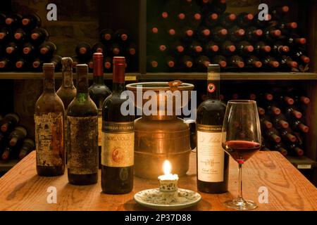 Wine cellar, bottles of red wine, Castello d'Albola, Radda in Chianti, Tuscany, Italy Stock Photo