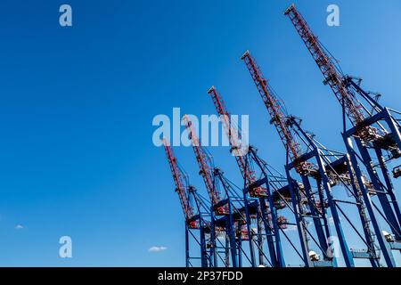 Towering red and blue cranes against blue sky, emphasizing the role of harbor facilities and infrastructure in the world economy and global freight. Stock Photo