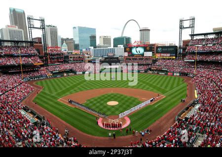 St. Louis Cardinals stand for the National Anthem, wearing pink