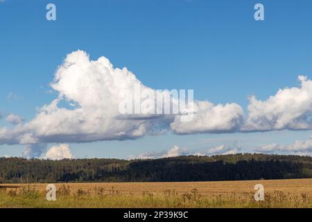 Feld mit Wald blauen Himmel und Wolken Stock Photo