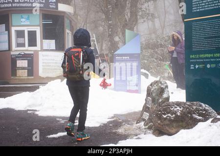 Korean hiker or trekker people walk trail hiking on snow falling covered in forest jungle on Hanla Mountain or Mount Halla in Hallasan National Park a Stock Photo