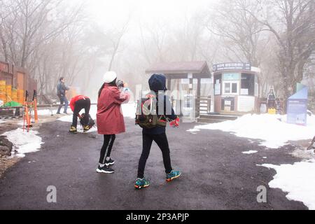 Korean hiker or trekker people walk trail hiking on snow falling covered in forest jungle on Hanla Mountain or Mount Halla in Hallasan National Park a Stock Photo