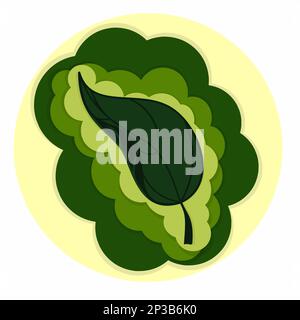 leave on green background. Watercolor green tea leaves closeup isolated on white background Stock Vector