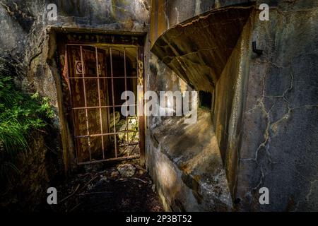 Abandoned, destoyed concrete bunker with embrasure in summer forest.Entrance to the bunker. Dolomites, Italy Stock Photo