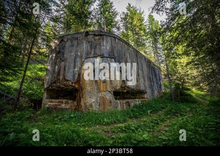 Abandoned, destoyed concrete bunker with embrasure in summer forest.Entrance to the bunker. Dolomites, Italy Stock Photo