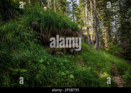 Abandoned, destoyed concrete bunker with embrasure in summer forest.Entrance to the bunker. Dolomites, Italy Stock Photo