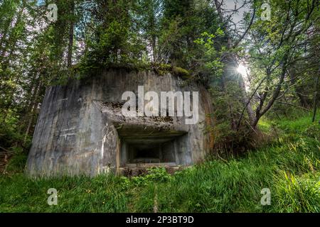 Abandoned, destoyed concrete bunker with embrasure in summer forest.Entrance to the bunker. Dolomites, Italy Stock Photo