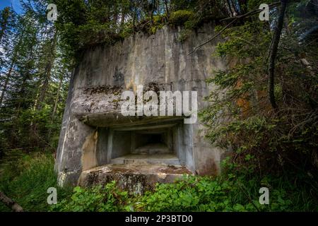 Abandoned, destoyed concrete bunker with embrasure in summer forest.Entrance to the bunker. Dolomites, Italy Stock Photo