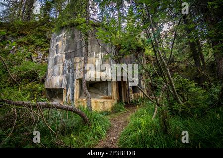 Abandoned, destoyed concrete bunker with embrasure in summer forest.Entrance to the bunker. Dolomites, Italy Stock Photo